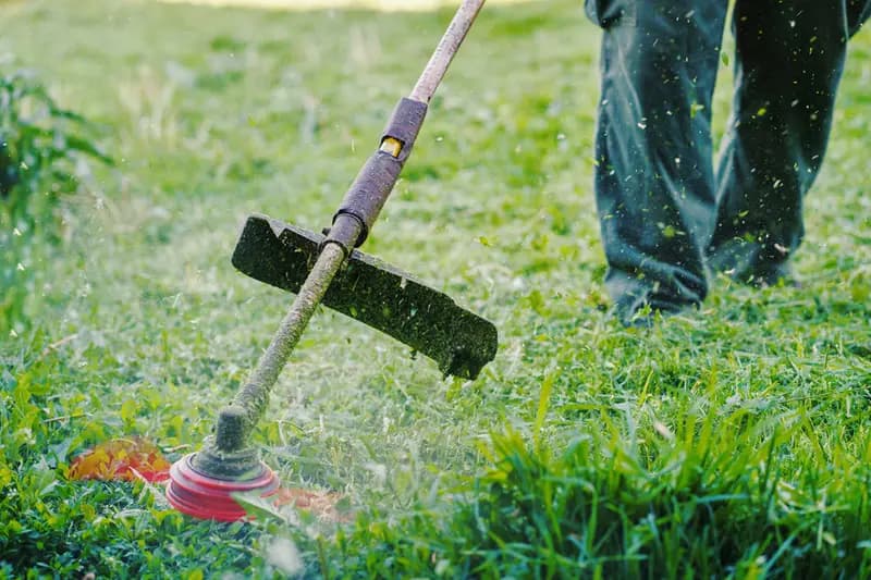 Desbroce y Limpieza - Servicio profesional de jardinería en Madrid por Jardinería Jofeva