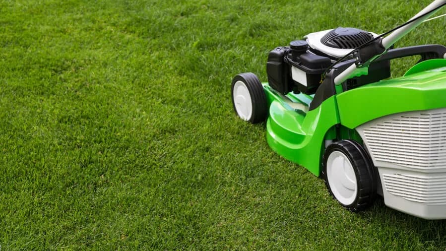 Mantenimiento de Jardines - Servicio profesional de jardinería en Madrid por Jardinería Jofeva