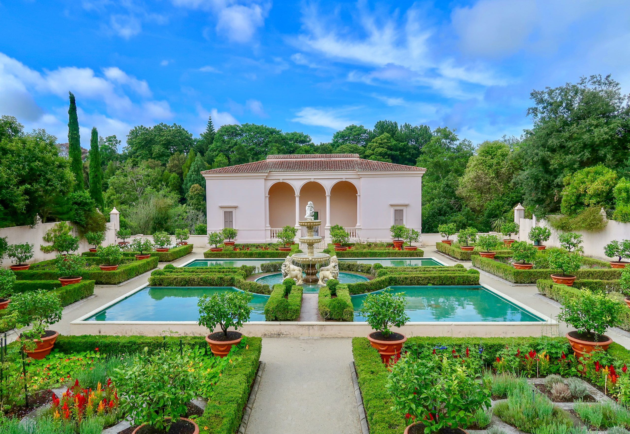 Jardín formal profesional con diseño geométrico - Jardinería Jofeva