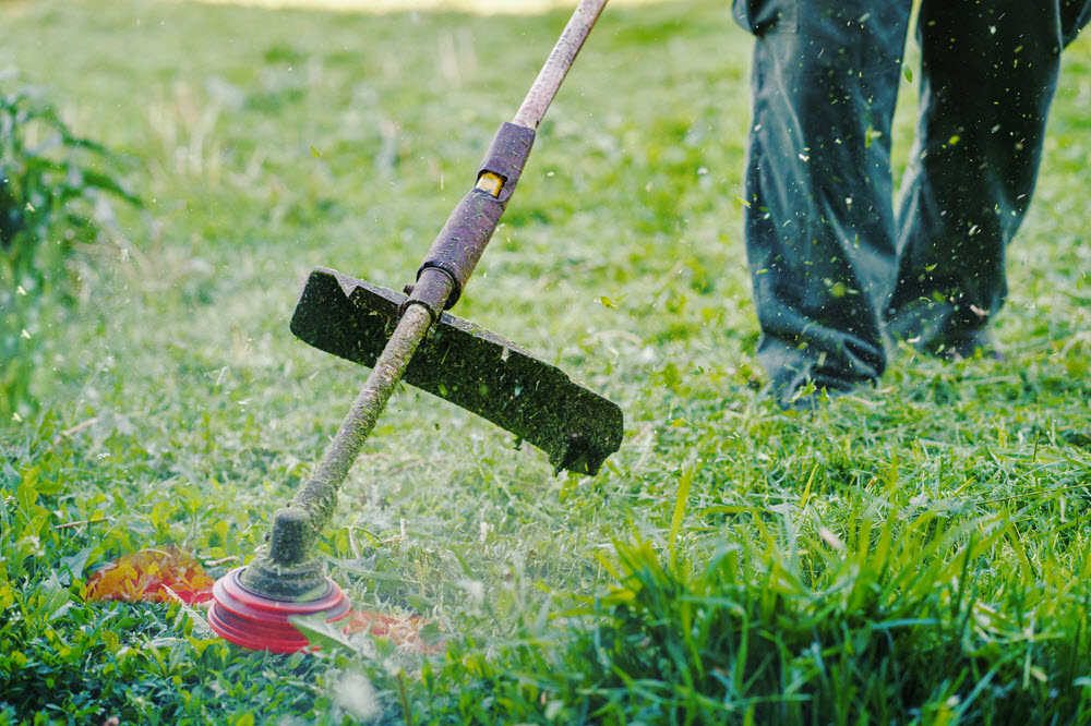 Desbroce y Limpieza - Servicio profesional de jardinería en Madrid