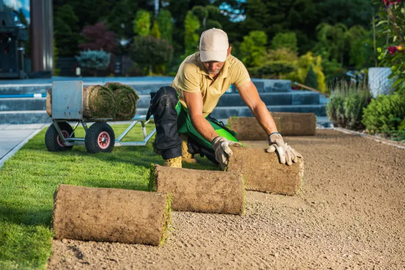 Instalación de Césped - Servicio profesional de jardinería en Madrid