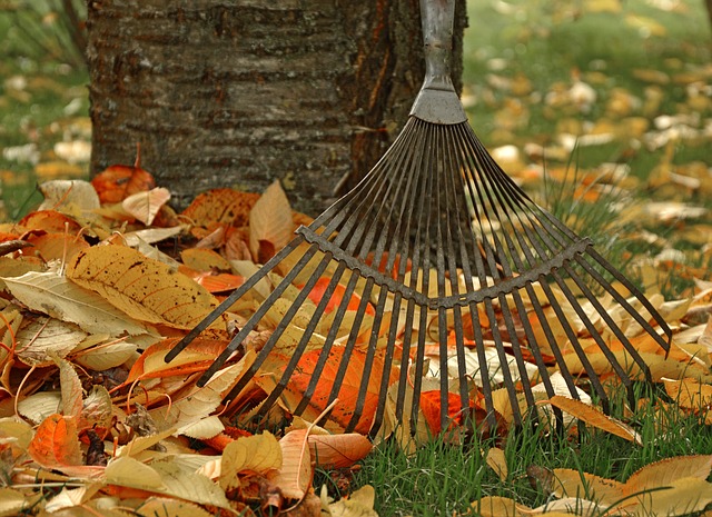 Jardinero a Domicilio - Servicio profesional de jardinería en Madrid