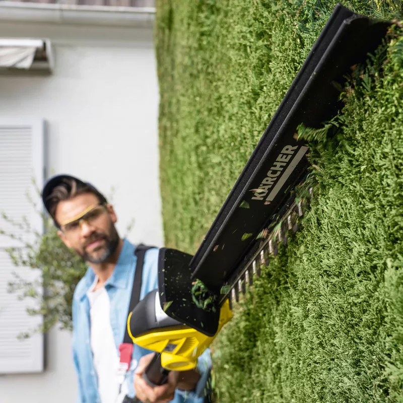 Poda de Setos - Servicio profesional de jardinería en Madrid