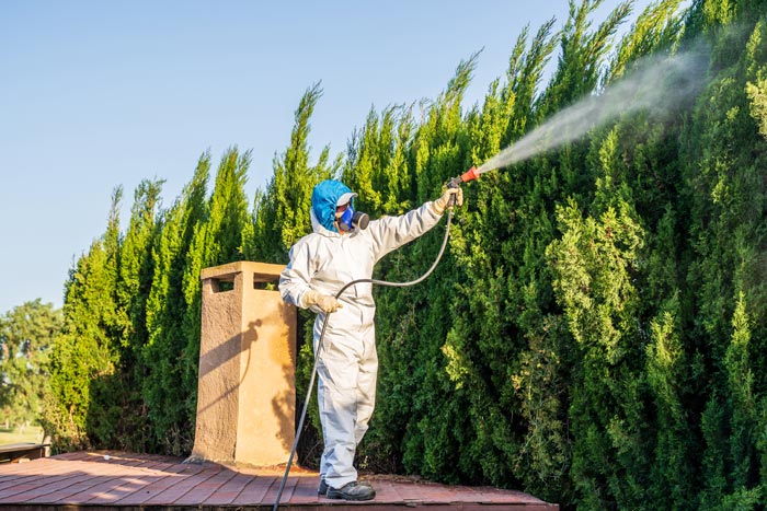 Tratamientos Fitosanitarios - Servicio profesional de jardinería en Madrid